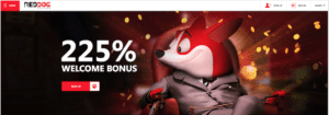 Red Dog Casino