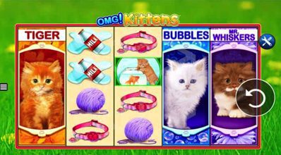 OMG Kittens Reels WMS Scientific Games