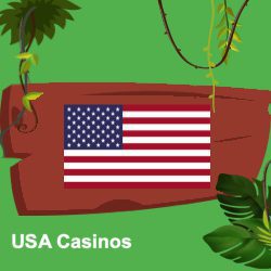Casinos in USA
