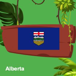 Casinos in Alberta