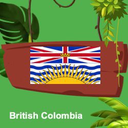 Casinos in British Colombia