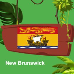 New Brunswick Province