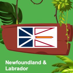 Casinos in Newfoundland and Labrador