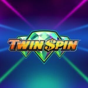 Twin Spin Logo