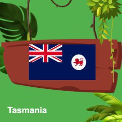 Tasmania