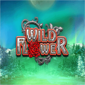 Wild Flower