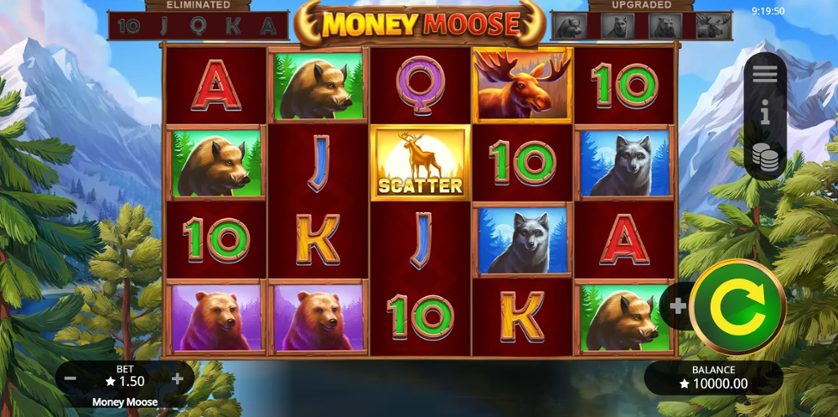 Money Moose reels
