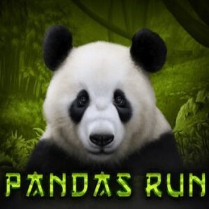 Panda's Run