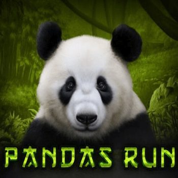 Panda's Run slot icon