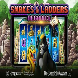 Snake & Ladders Megadice