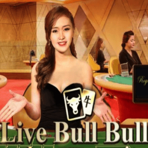 Live Bull Bull