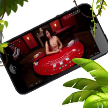 Live Dealer Casinos